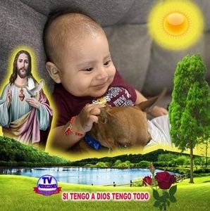 Meet your Posher, Mateo